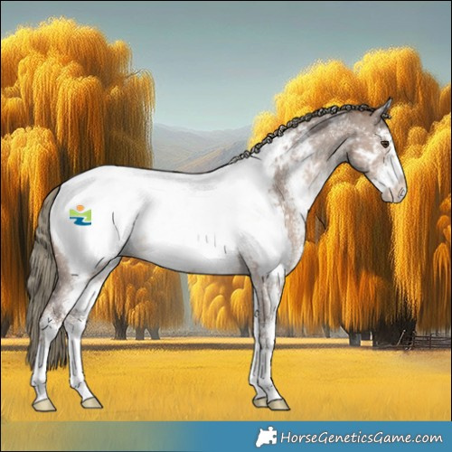 Horse Color:Liver Red Dun Mushroom Sabino Appaloosa 