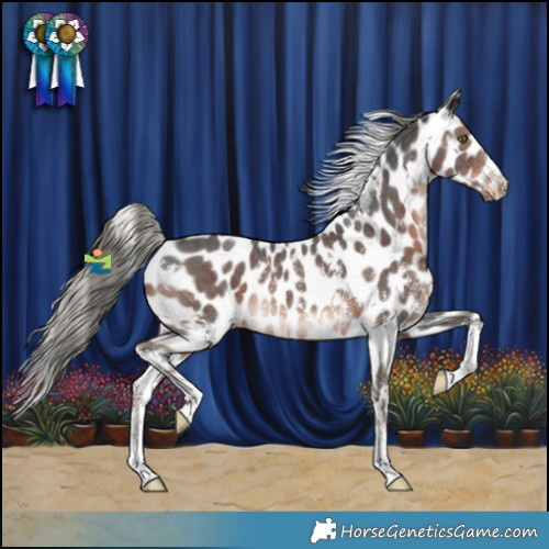 Horse Color:White Spotted Liver Chestnut Mushroom Sabino Appaloosa Rabicano 