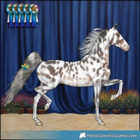 Horse Color:White Spotted Liver Chestnut Mushroom Sabino Leopard Rabicano