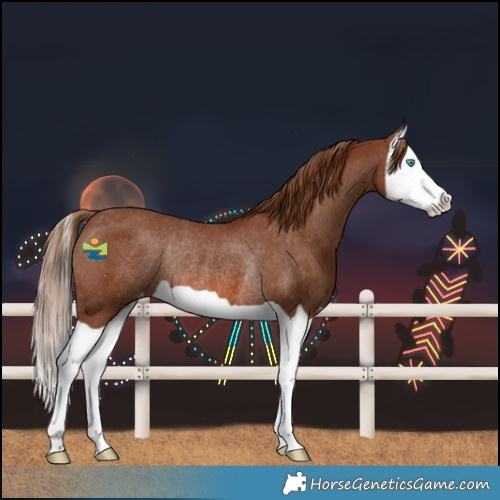 Horse Color:Chestnut Splash Skewed LP Spotted Rabicano 