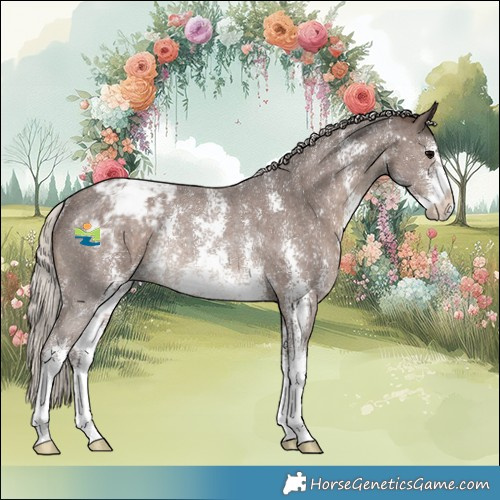 Horse Color:Silver Black Sabino Appaloosa Rabicano 