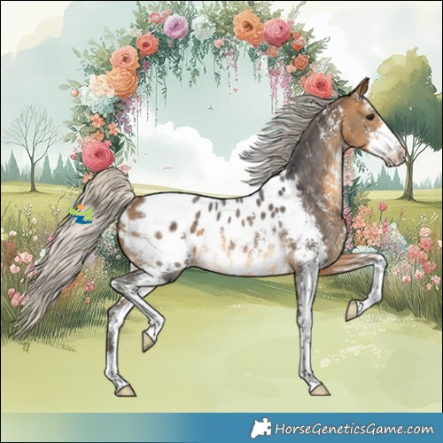 Horse Color:Silver Buckskin Sabino Appaloosa Rabicano 