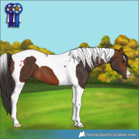 Horse Color:Brown Tobiano