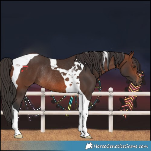 Horse Color:Brown Tobiano Rabicano 