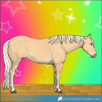 Horse Color:Palomino