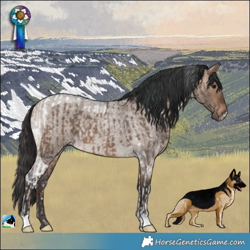 Horse Color:Brown Dun Tobiano  and Brown Roan Dun 