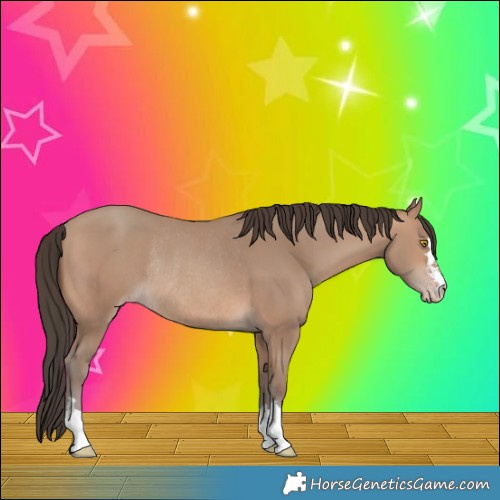 Horse Color:Sable Champagne Rabicano