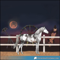 Horse Color:Gray White Spotted Silver Brown Splash 