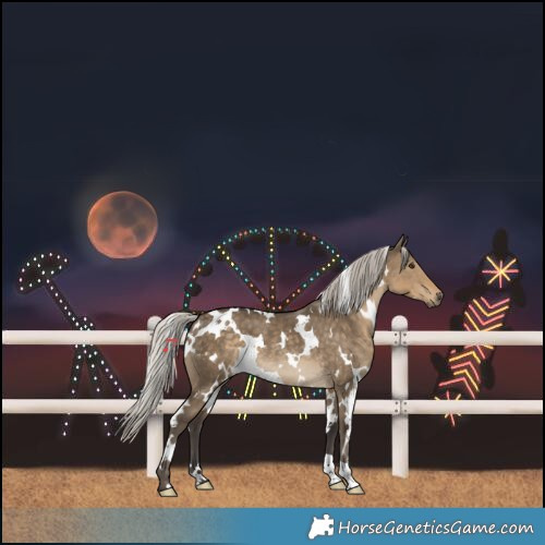 Horse Color:White Spotted Silver Smoky Grullo 