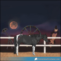 Horse Color:Black Tobiano 