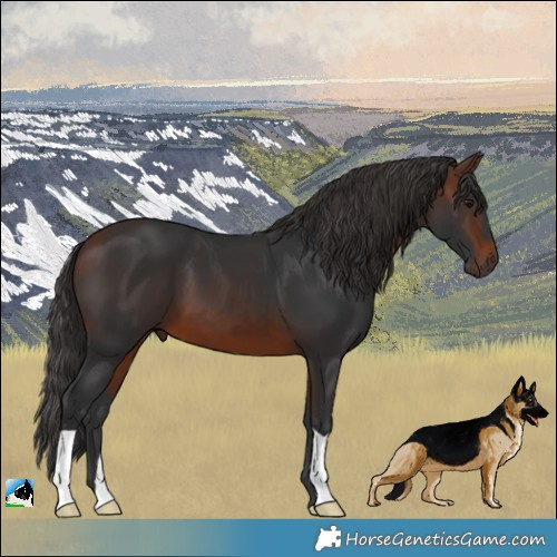 Horse Color:Brown 