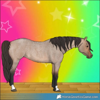 Horse Color:Bay Roan Dun