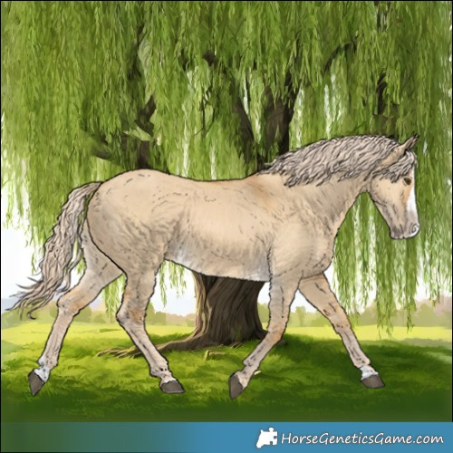 Horse Color:Palomino Dun Splash 