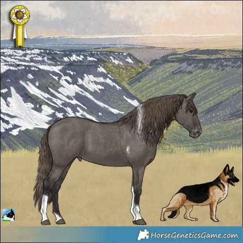 Horse Color:Smoky Grullo Tobiano Appaloosa