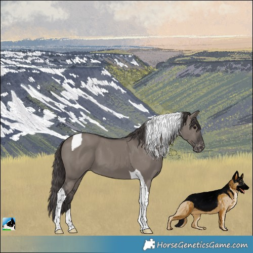 Horse Color:Smoky Grullo Tobiano Varnish