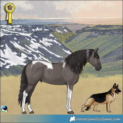 Horse Color:Smoky Grullo Tobiano