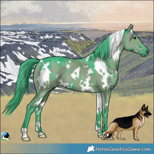 Horse Color:Watercolor White Spotted Grullo Brindle