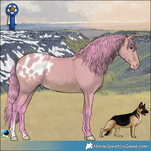 Horse Color:Watercolor Brown Dun Appaloosa Brindle