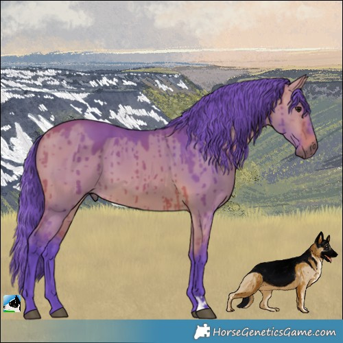 Horse Color:Watercolor Bay Dun Brindle 