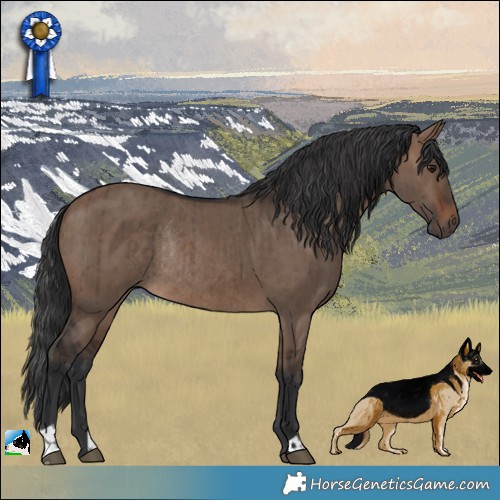 Horse Color:Brown Dun Rabicano Brindle