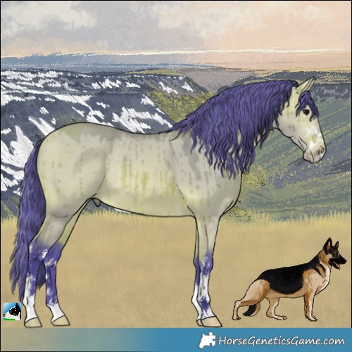 Horse Color:Watercolor Bay Dun Sabino Rabicano Brindle 