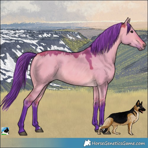 Horse Color:Watercolor Bay Dun 