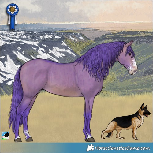 Horse Color:Watercolor Brown Dun Sabino Brindle 
