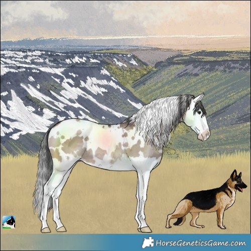Horse Color:White Spotted Brown Dun Merle Splash 