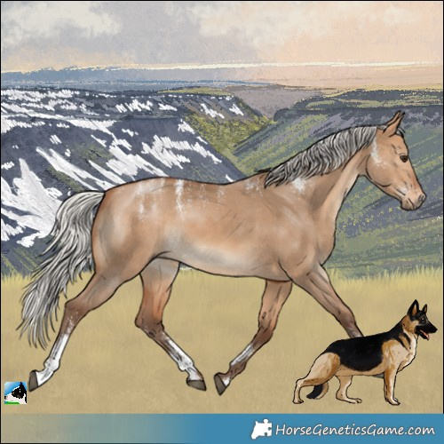 Horse Color:Powder White Silver Bay Dun 