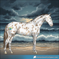 Horse Color:Sable Cream Champagne Near Leopard 