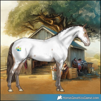 Horse Color:Sable Champagne Appaloosa