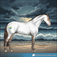 Horse Color:Sable Champagne Near Fewspot