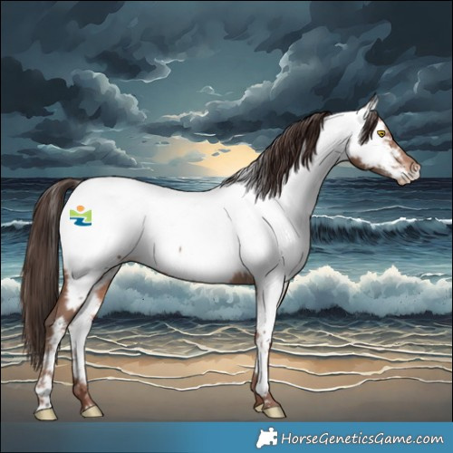 Horse Color:Sable Champagne Near Fewspot 