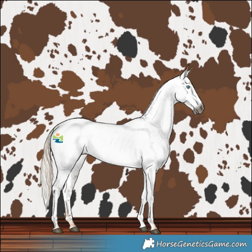 Horse Color:Gray Palomino Roan Pearl Near Fewspot 