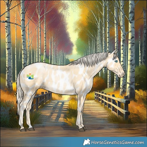 Horse Color:Palomino Pearl Appaloosa 