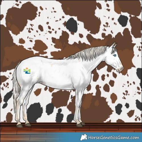 Horse Color:Palomino Pearl Near Fewspot 