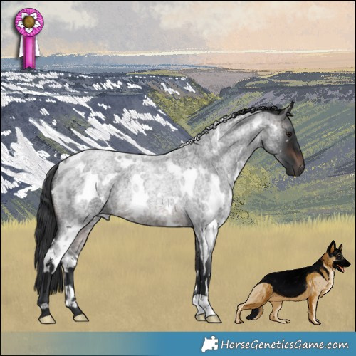 Horse Color:White Spotted Brown Roan Rabicano