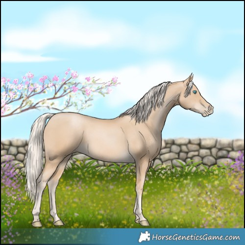 Horse Color:Palomino Pearl 