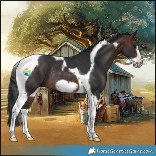 Horse Color:Brown Tobiano Frame Rabicano 