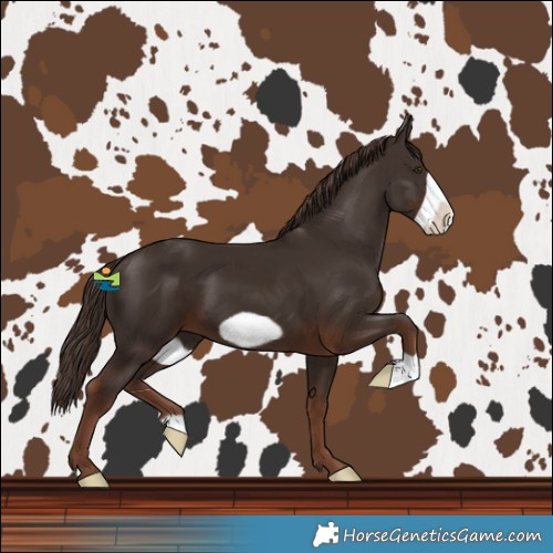 Horse Color:Liver Chestnut Frame 