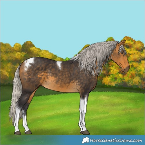 Horse Color:Silver Buckskin Tobiano 
