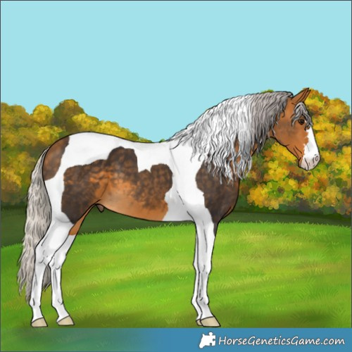 Horse Color:Silver Buckskin Tobiano 