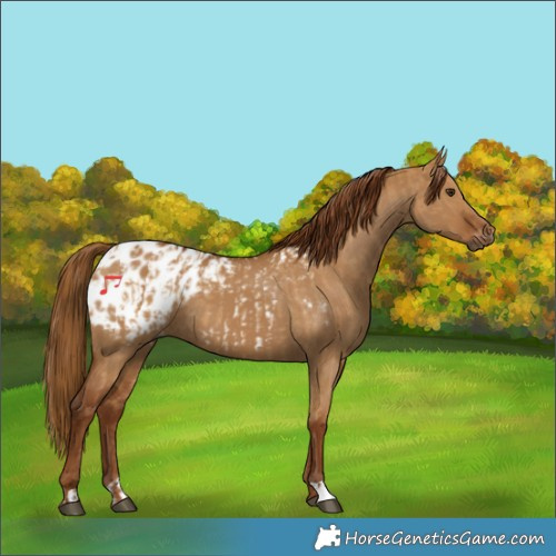 Horse Color:Gray Red Dun Blanket  and Gray Red Dun Blanket 