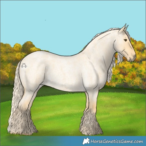 Horse Color:Palomino Roan Dun