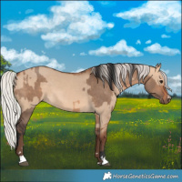 Horse Color:Bay Dun and Silver Bay Dun