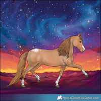 Horse Color:Chestnut Varnish