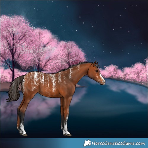 Horse Color:Powder White Bay 