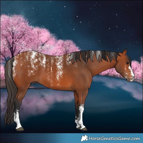 Horse Color:Powder White Bay