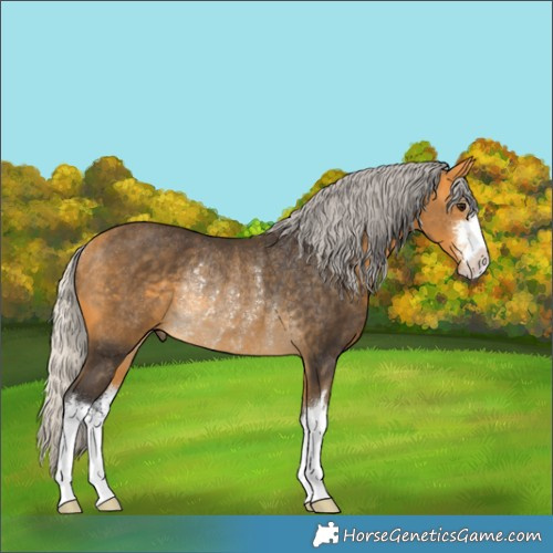 Horse Color:White Spotted Silver Buckskin Rabicano 