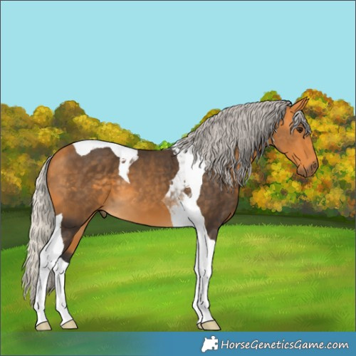 Horse Color:Silver Buckskin Tobiano 